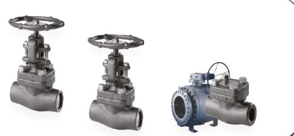 Forged valves